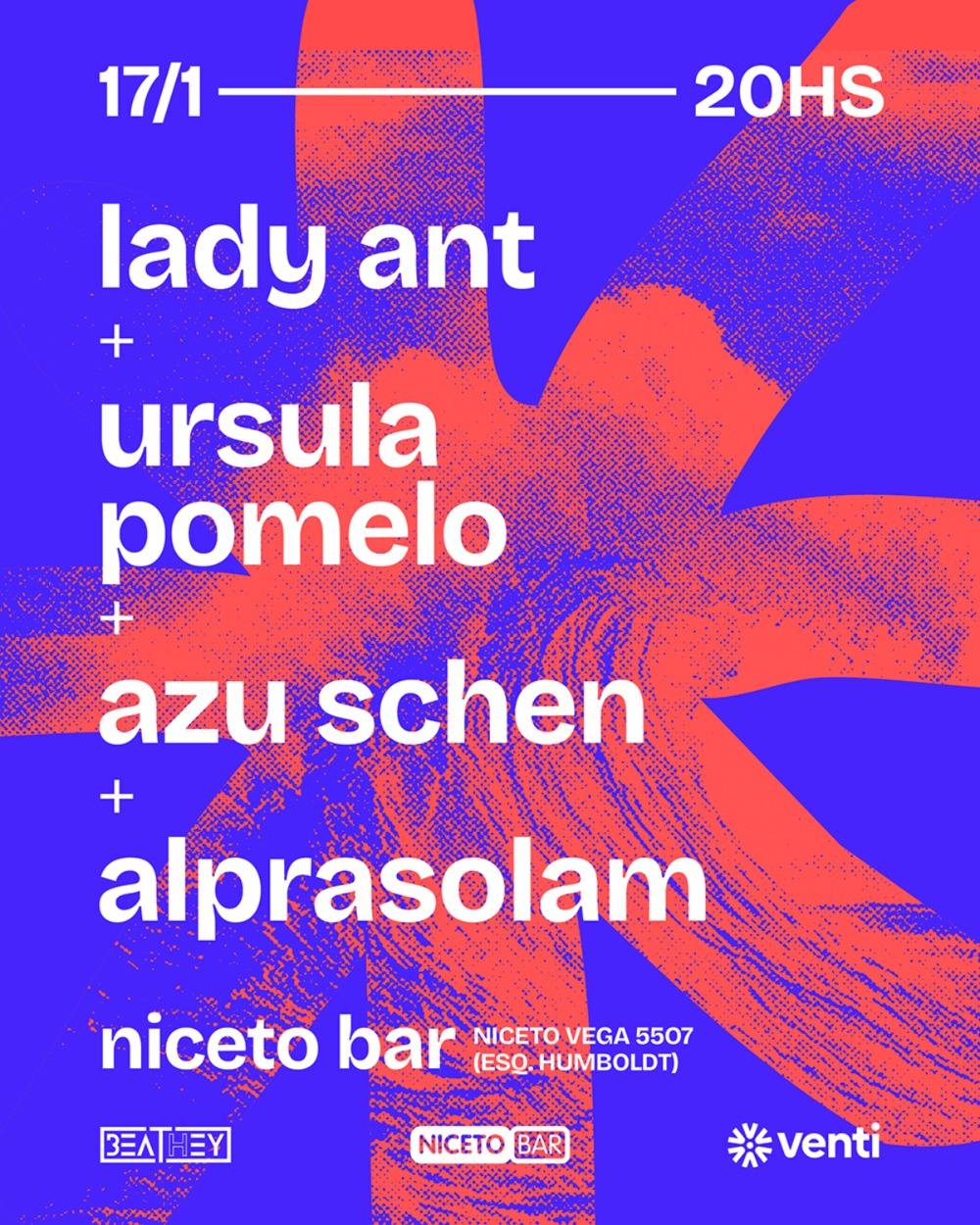 17/1 Acusticos de Verano Vol 1 en Niceto Bar