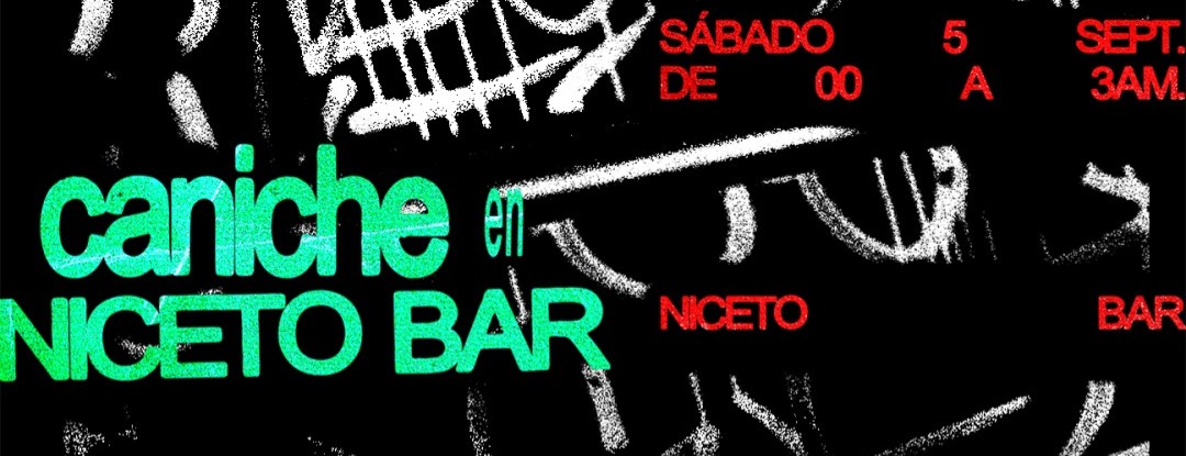 Caniche en Niceto Bar