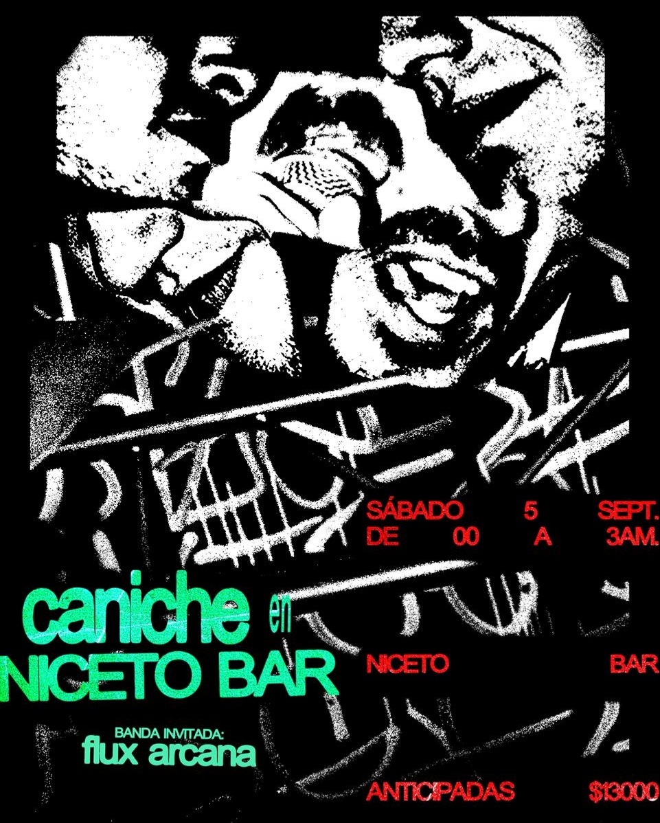 Caniche en Niceto Bar